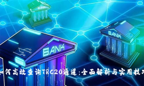 如何高效查询TRC20通道：全面解析与实用技巧