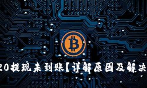 TRC20提现未到账？详解原因及解决方案