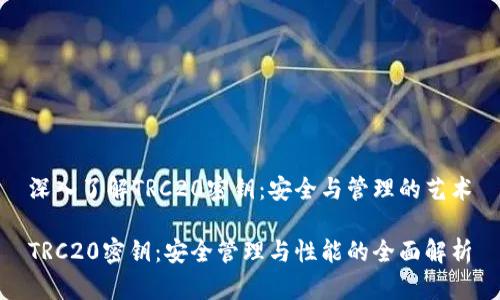 深入了解TRC20密钥：安全与管理的艺术

TRC20密钥：安全管理与性能的全面解析