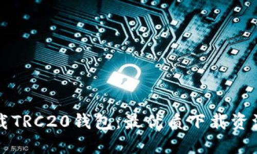 如何安全下载TRC20钱包：最优质下载资源和使用指南